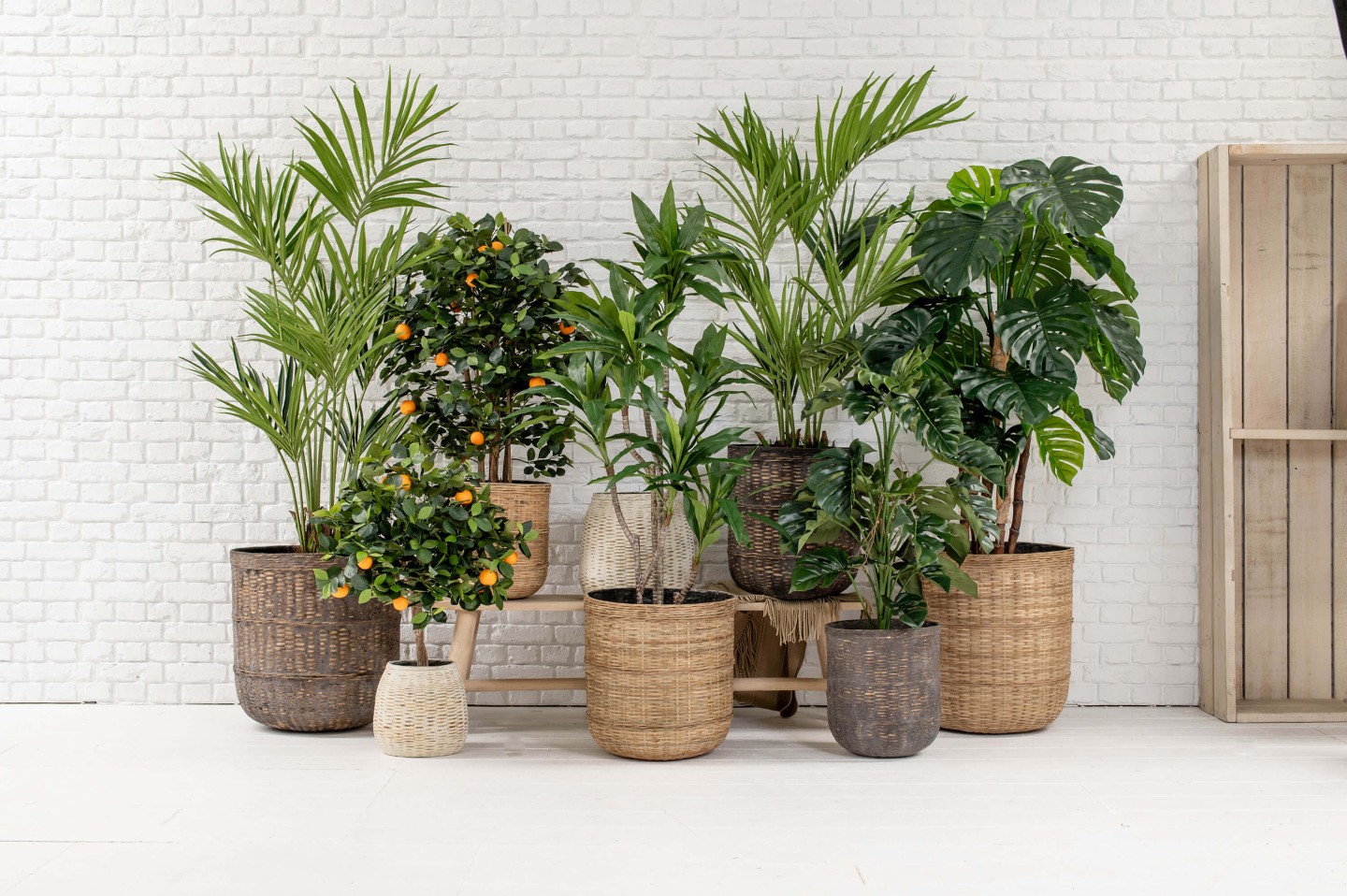 stock artificial plants in stock planters